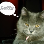 Foto del perfil de Lully